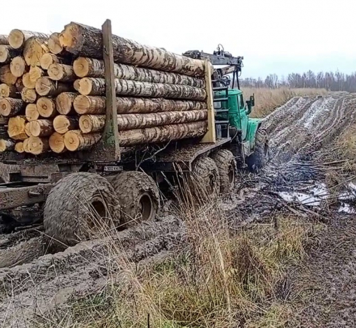 По бездорожью груженой машине трудно пробираться.