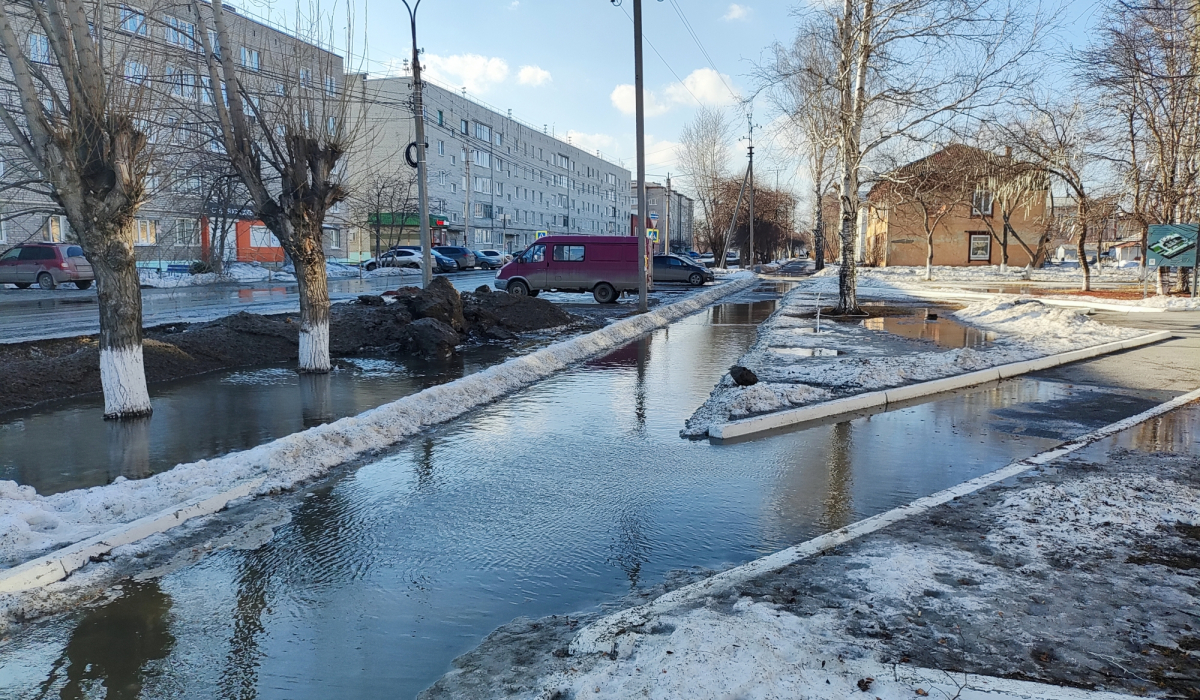Ветер в Артемовский принес холод, но это не надолго