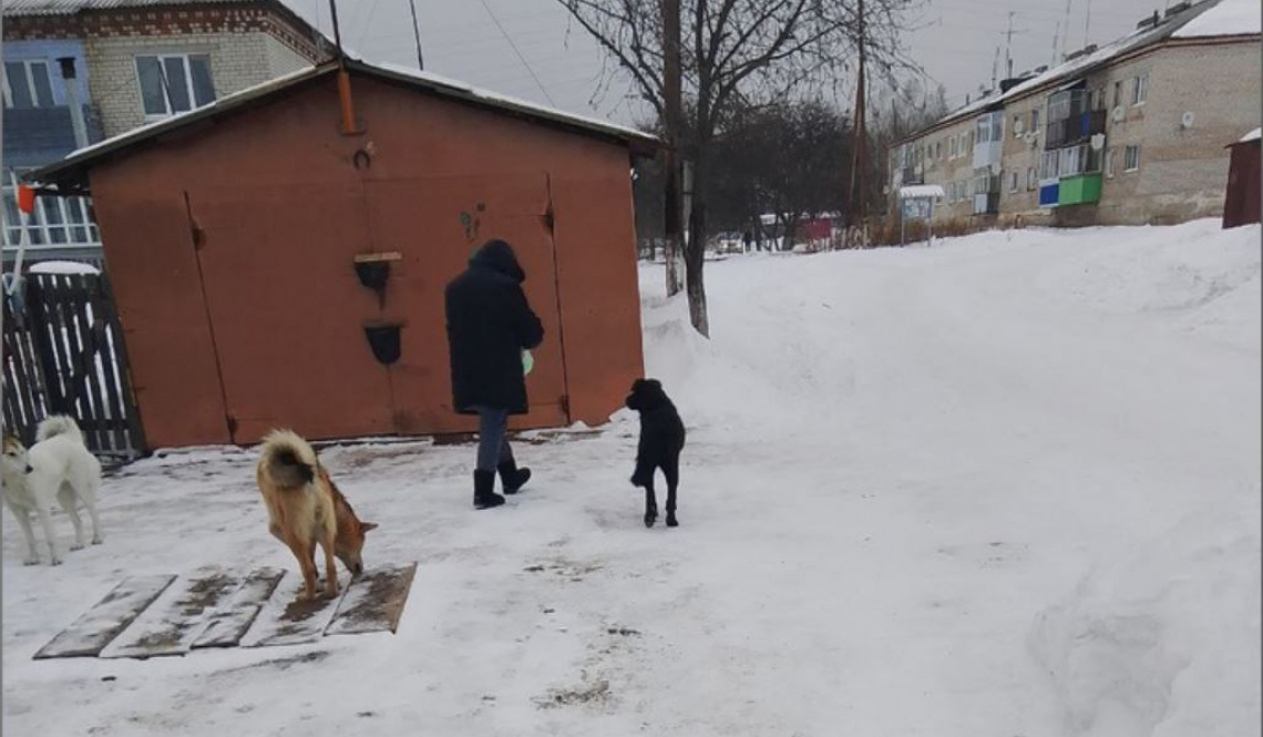 За укус собаки пенсионерка получила компенсацию