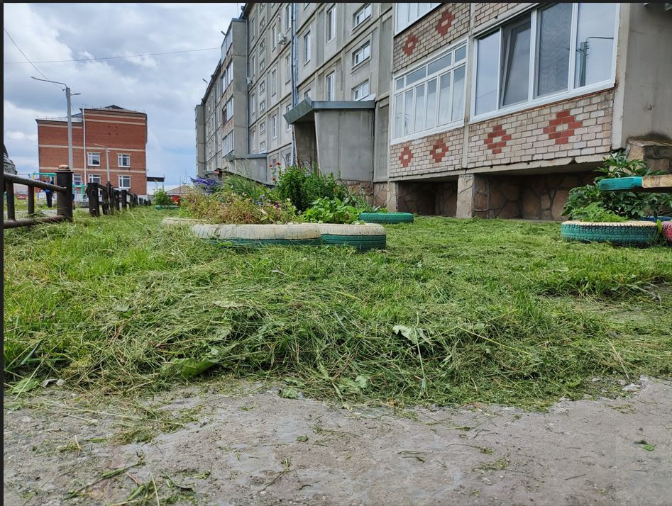 Во дворе по Банковская, 8 траву скосили. Фото: Михаил Дудин, 