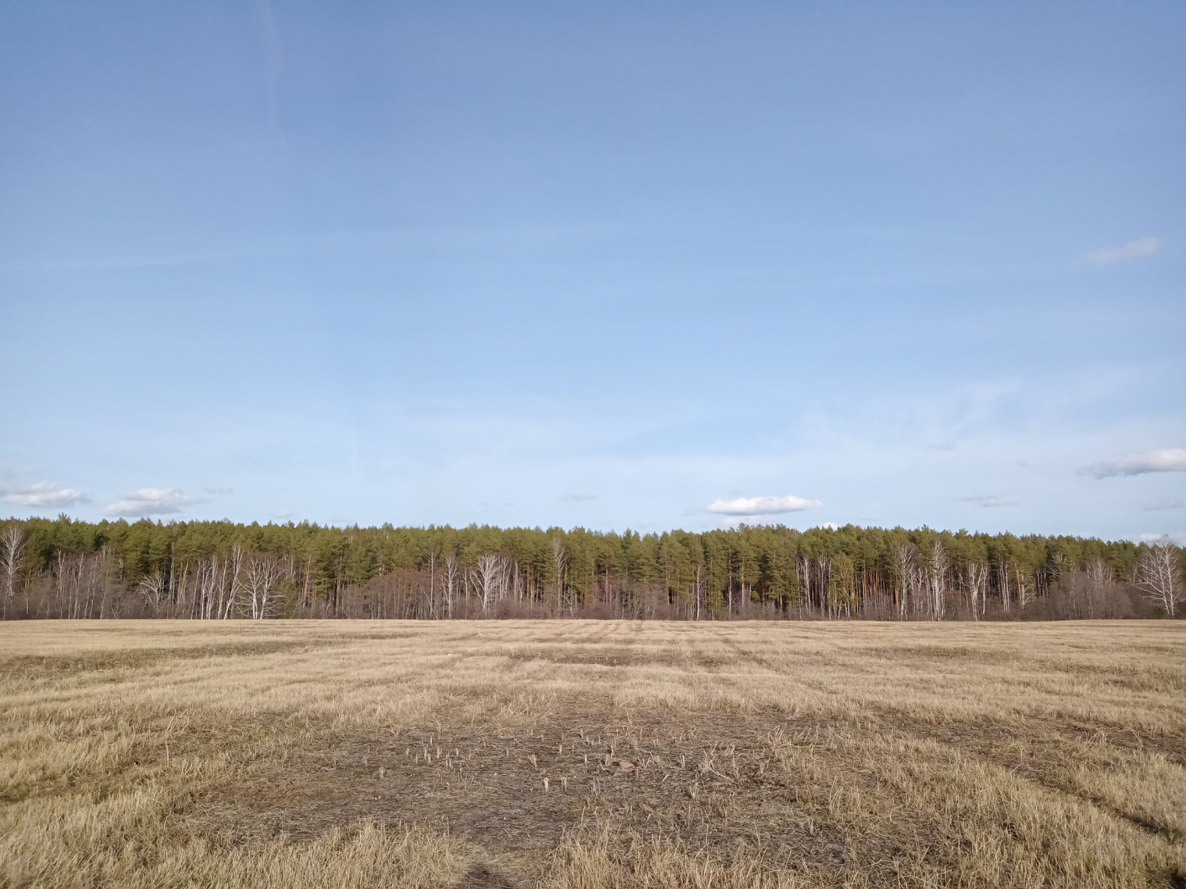 Здесь была деревня Бродовка, в 19 веке ставшая частью села Покровское. Фото: Николай Гусалов.